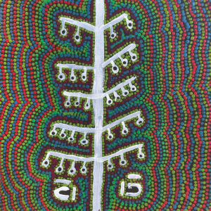 Partiki (Bush Nut)